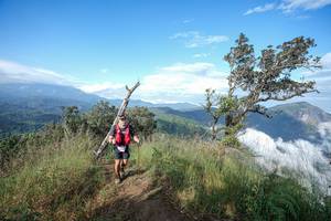 BIB: 
                            <button type="button" onclick="openModal(22371709)" class="btn btn-primary btn-sm float-right btn-popup" data-toggle="modal" data-target=".modal-high-quality">
                        <i class="fas fa-shopping-cart"></i> Add to Cart
                    </button>
                                            <button type="button" onclick="isThisMe(22371709, true)" class="btn btn-success btn-sm float-right btn-popup btn-isme hidden" data-toggle="tooltip" data-placement="bottom" title="นี่คือรูปของคุณใช่ไหม คลิกที่นี่เพื่อเอาเข้าอัลบั้ม">
                        <i class="fas fa-plus"></i> Add to album
                    </button>
                    <button type="button" onclick="isThisMe(22371709, false)" class="btn btn-warning btn-sm float-right btn-popup btn-isnotme hidden">
                        <i class="fas fa-ban"></i> Remove from album
                    </button>